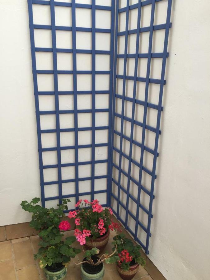 Apartamento Balneario Playa Caleta Cádiz Exteriér fotografie